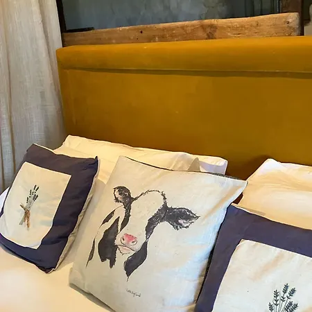 Carmagnac - Luxury Romantic With Hot Tub In The Charente Vaux-Lavalette