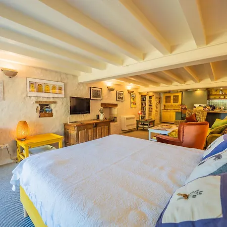 Apartment Carmagnac - Luxury Romantic With Hot Tub In The Charente