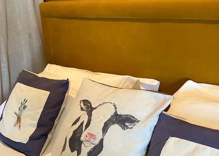 Carmagnac Cowshed Vaux-Lavalette